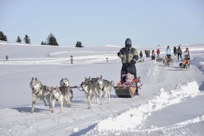 Val Badia Huskysleddog San Vigilio di Marebbe