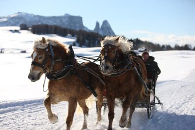 Val Badia gita in slitta