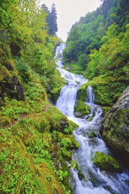 Valle Pesio Cascate del Saut