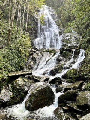 Piemonte Valle Pesio Cascate del Saut