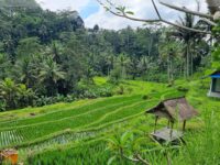 Indonesia isola di Bali Gunung kawi