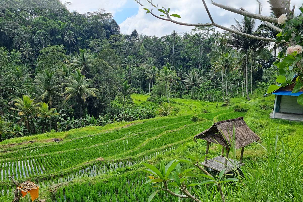 Indonesia isola di Bali Gunung kawi