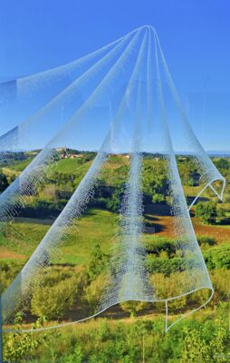 Creativamente Roero Belvedere San Martino 2023 - Pallium di Monica Lugas