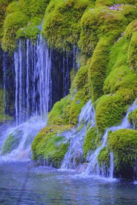 Salerno Sud del Cilento Casaletto Spartano Cascate Capelli di Venere