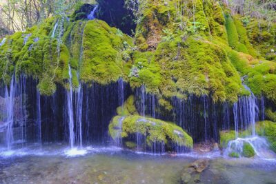 Cilento Campania Oasi Capelli di Venere