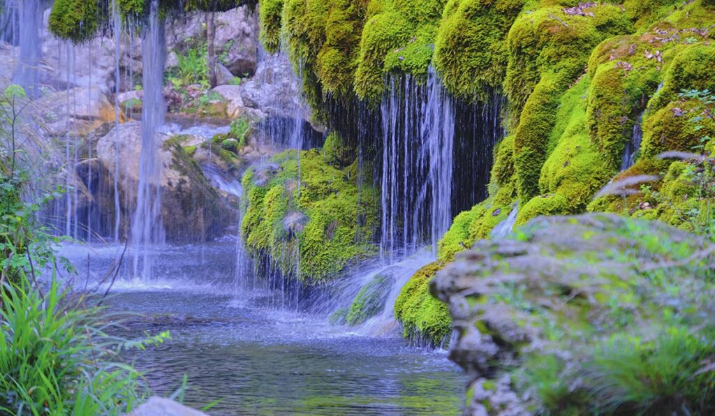 Sud del Cilento Casaletto Spartano Oasi WWF - Cascate Capelli di Venere