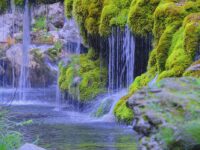 Sud del Cilento Casaletto Spartano Oasi WWF - Cascate Capelli di Venere