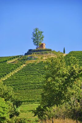 Piemonte Creativamente Roero