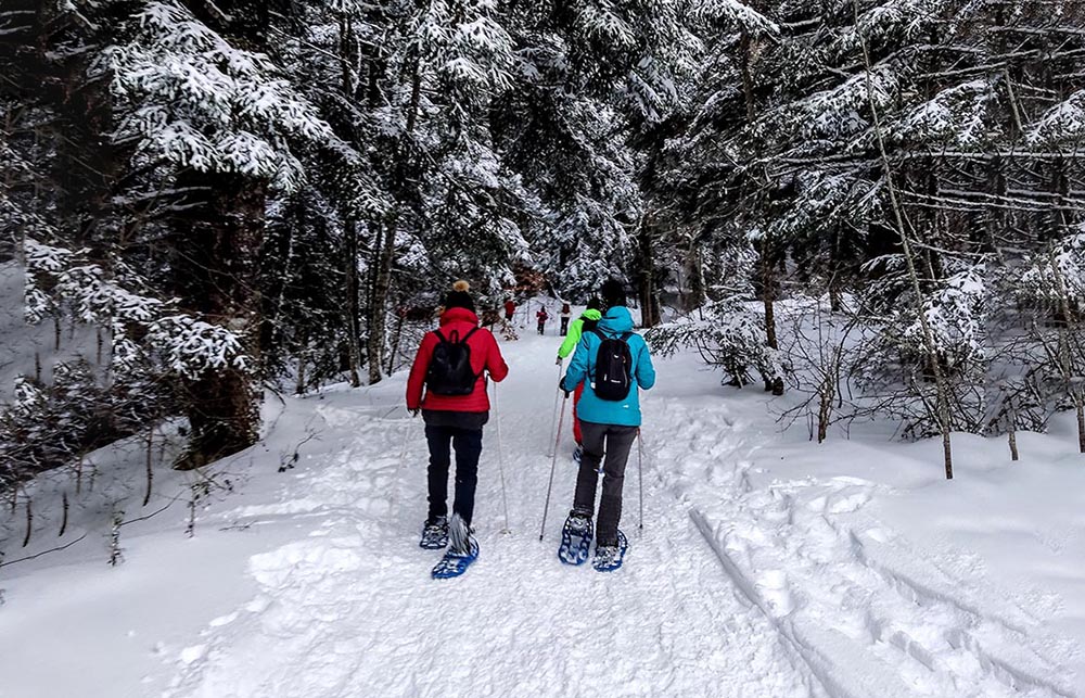 World Snow Day 
Ciaspolata Borgotufi Castel del Giudice