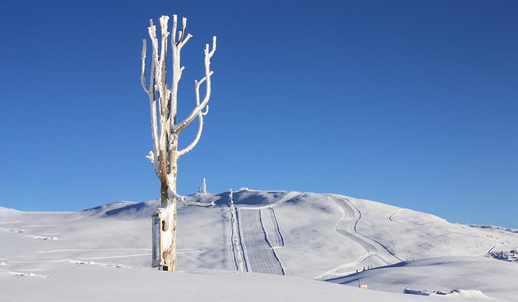 Rifugi Alto Adige altopiano del Renon