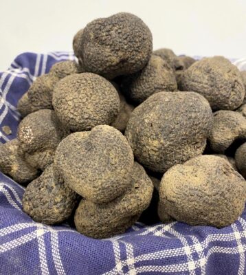 Marche Tartufo nero Roccafluvione