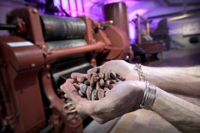 Torino CioccolaTò Museo Choco Story mani fave cacao 