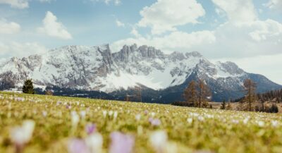 Pasqua tra gusto e tradizione