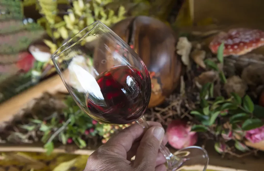 Umbria Narni Perugia rosso fossile