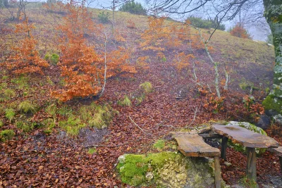 Rotonda borgo autentico nel Parco Nazionale del Pollino 12 Basilicata Rotonda Parco Nazionale del Pollino Rifugio Fasanelli