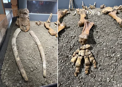 Rotonda borgo autentico nel Parco Nazionale del Pollino 6 Rotonda borgo autentico Basilicata Parco Nazionale del Pollini