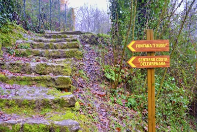 Rotonda borgo autentico nel Parco Nazionale del Pollino 27 Basilicata Rotonda Parco Nazionale del Pollino