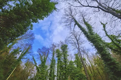 Rotonda borgo autentico nel Parco Nazionale del Pollino 26 Basilicata Rotonda Parco Nazionale del Pollino