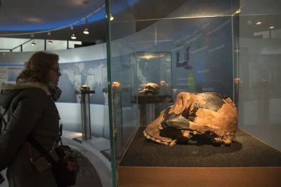 Ciociaria cuore antico del Lazio: Anagni, Alatri, Ferentino, Veroli 21 Lazio Ciociaria Hernica Saxa Anagni Alatri Ferentino Veroli