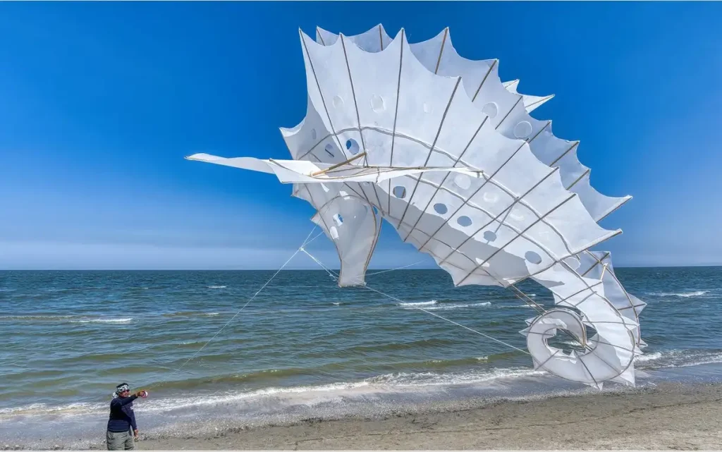 Artevento Cervia 2026 Pinarella Fratello Vento