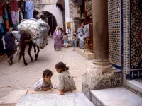 Vicenza Noventa Vicentina Villa Barbarigo Istantanee di viaggio