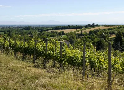 Monterosso Val d'Arda Festival 2026 Castell'Arquato