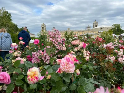 Primavera fioriture itinerari colori Reggia di Colorno