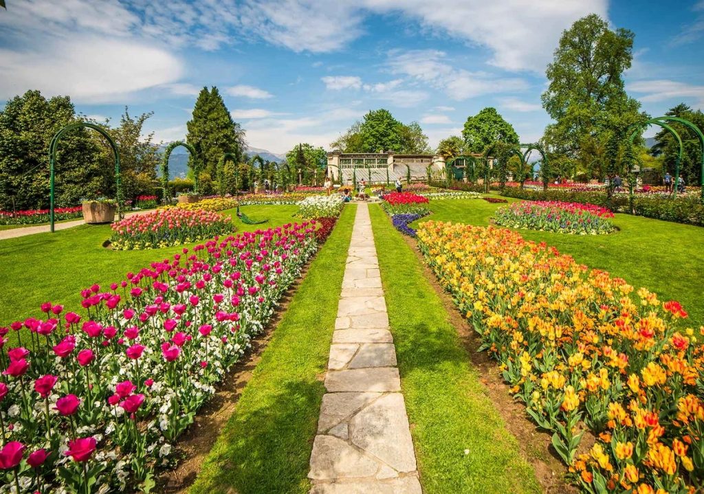 Primavera fioriture itinerari colori Terre Borromeo Parco Pallavicino