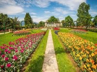 Primavera fioriture itinerari colori Terre Borromeo Parco Pallavicino