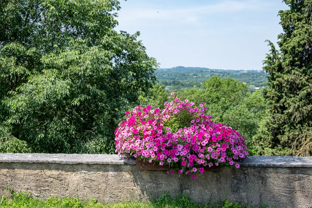 Valeggio sul Mincio, Parco Giardino Sigurtà