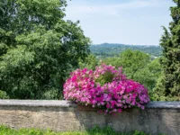 Valeggio sul Mincio, Parco Giardino Sigurtà