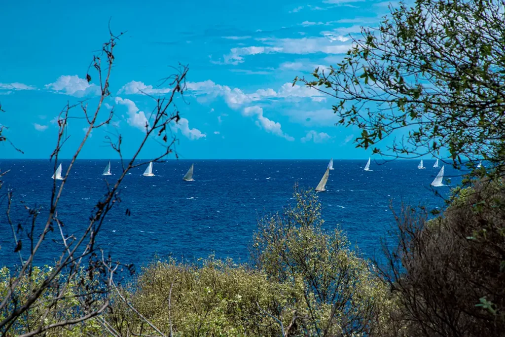 Arcipelago Toscano, Isola d'Elba, SEIF 2026,