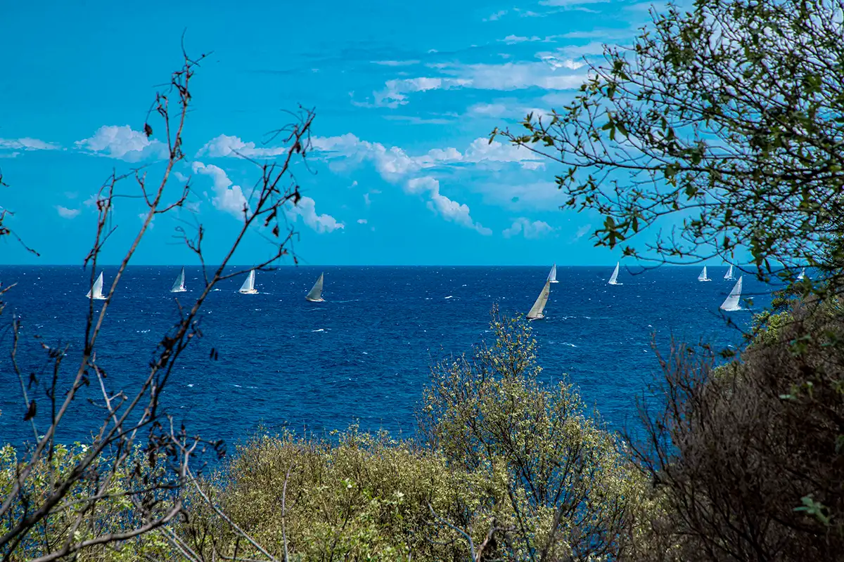 Arcipelago Toscano, Isola d'Elba, SEIF 2026,