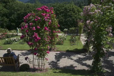 land Baden –Wurttemberg, Baden-Baden, Terme, Belle Époque, parchi storici, acque curative,