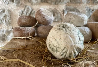 Il riscatto dei pastori nel borgo-castello: a Vallo di Nera trionfano la biodiversità e i 40 anni di Slow Food 2 Umbria, Valnerina, Val di Nera, Fior di Cacio 2026, Slow Food