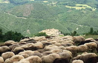 Il riscatto dei pastori nel borgo-castello: a Vallo di Nera trionfano la biodiversità e i 40 anni di Slow Food 1 Umbria, Valnerina, Val di Nera, Fior di Cacio 2026, Slow Food