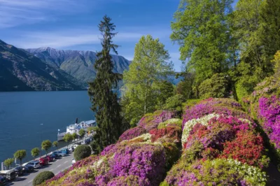 Lago di Como, Tremezzina, Villa Carlotta, Giardino botanico,
