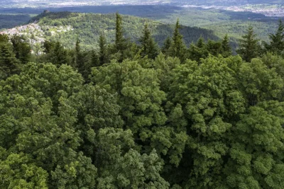 land Baden –Wurttemberg, Baden-Baden, Terme, Belle Époque, parchi storici, acque curative,