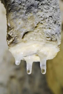 Sulla Strada Regia delle Calabrie: ultimo tratto tra storia, grotte sotterranee e antiche taverne 15 Strada Regia delle Calabrie, Grotte di Pertosa Auletta, Certosa di Padula cosa vedere, turismo storico Campania e Calabria