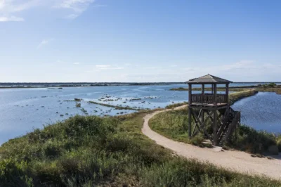Romagna, Ravenna, Capitale del Mare 2026, sostenibilità, Green Evolution in Europe