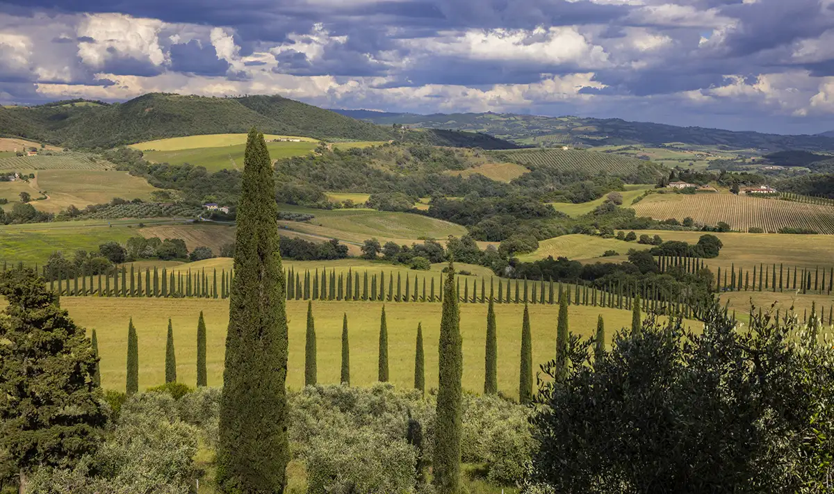 Cantine aperte InGravel Morellino vendemmia 2026, eventi enogastronomici autunno, turismo del vino, enotour Italia, degustazioni cantine aperte,