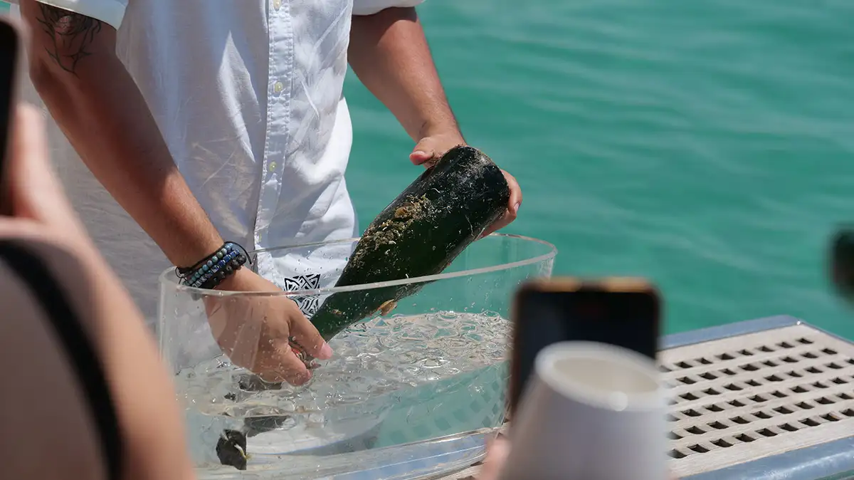 Cantine aperte Paololeo Mormora Experience Mare -sboccatura light vendemmia 2026, eventi enogastronomici autunno, turismo del vino, enotour Italia, degustazioni cantine aperte,