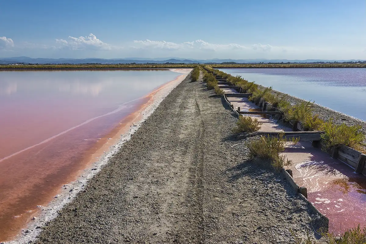 Sapore di Sale Cervia 2026, Sale Dolce di Cervia, trentesima edizione Sapore di Sale, eventi Cervia settembre, Rimessa del Sale Cervia,