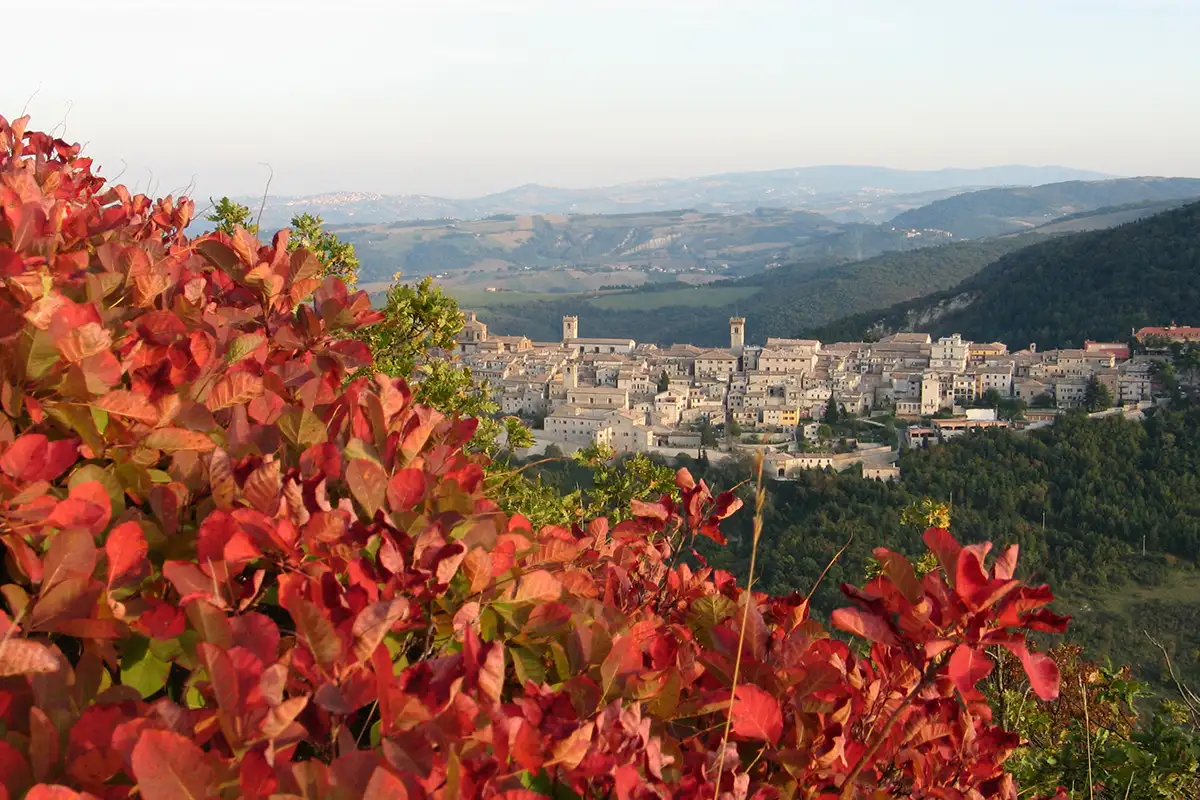 Val Mivola, autunno, sagre, borghi, Marche