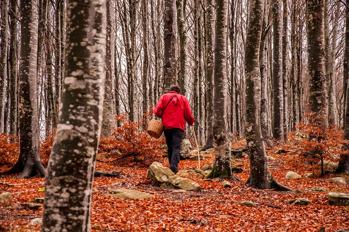 autunno Alta Val Taro e Val Ceno,