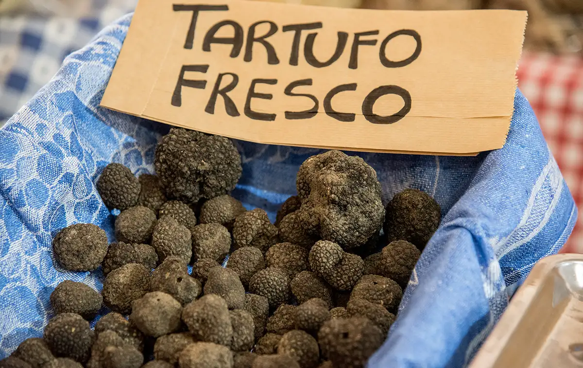 autunno Alta Val Taro e Val Ceno, funghi porcini, tartufo nero