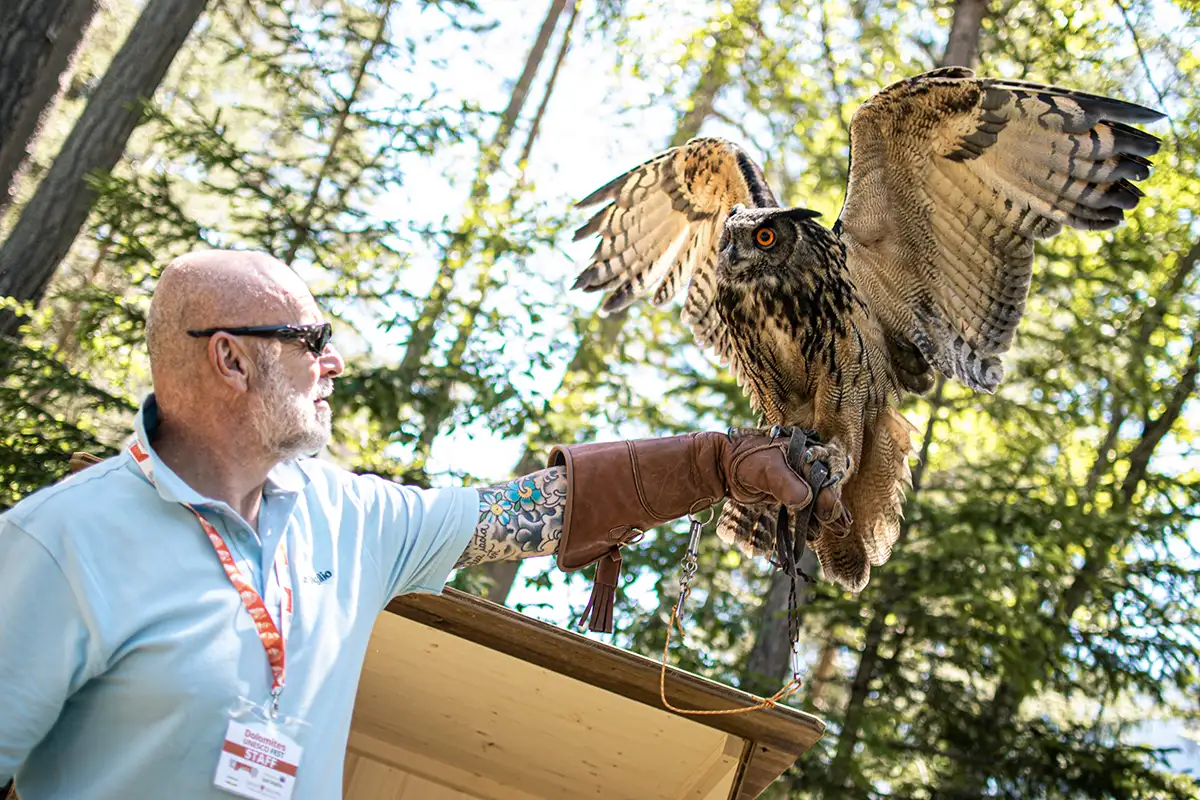 Dolomiti autunno San Vigilio Owl Park San Vigilio, Mario Kelemina esperto di rapaci Dolomiti autunno San Vigilio, Escursioni autunno Parco Fanes Senes Braies,