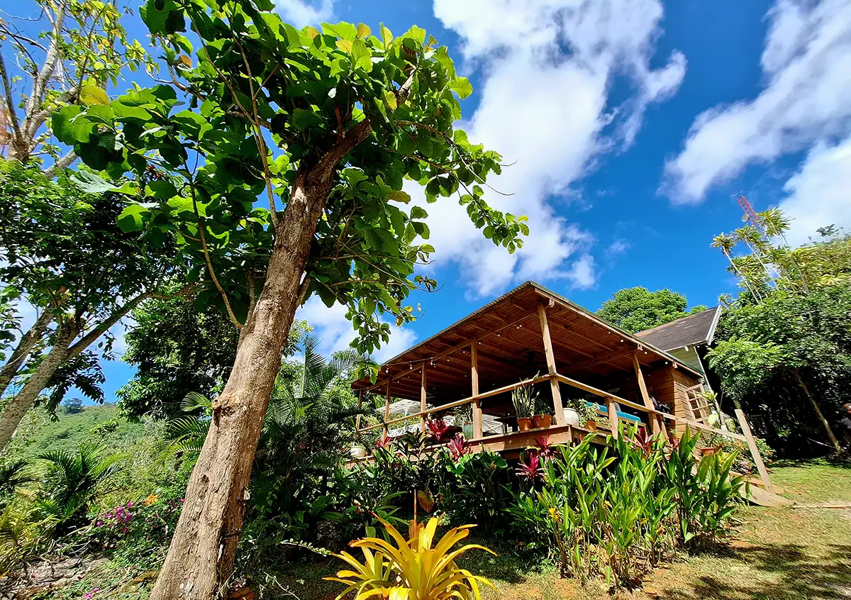 Giamaica, 'azienda Jacana Cosa vedere in Giamaica, Sandals Dunn's River Ocho Rios, Viaggio in Giamaica reportage, Cannabis medica Giamaica Jacana,