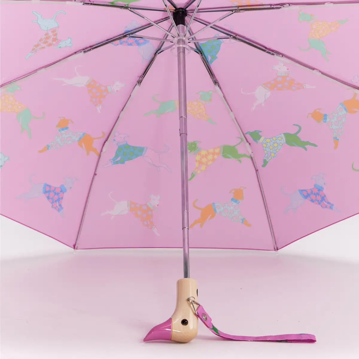 abbigliamento e accessori autunno