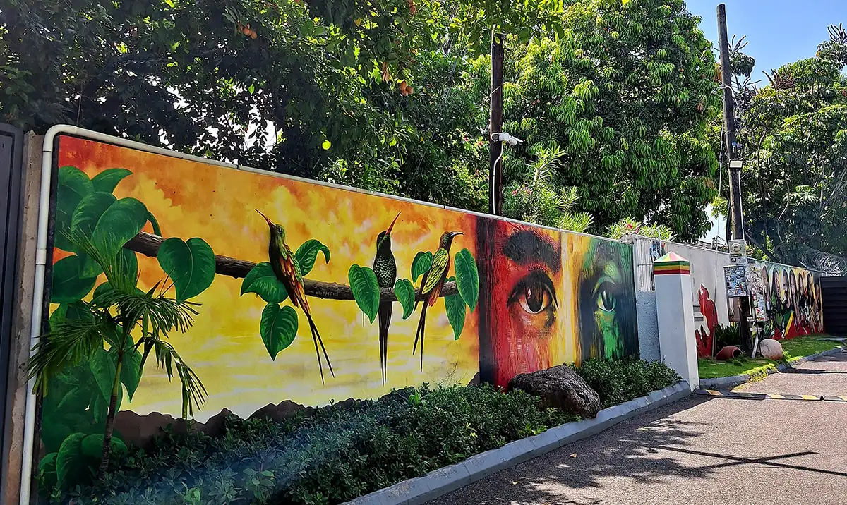 Museo Bob Marley, il colibrì è jun simbolo della Giamaica Bob Marley Museum Kingston, Cosa vedere in Giamaica, Storia della Giamaica Rastafari,